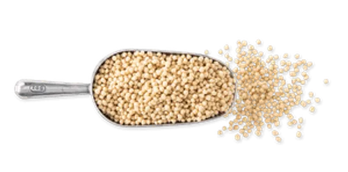 M2622 Sojaprotein Kugel Ingredients Riegel 2