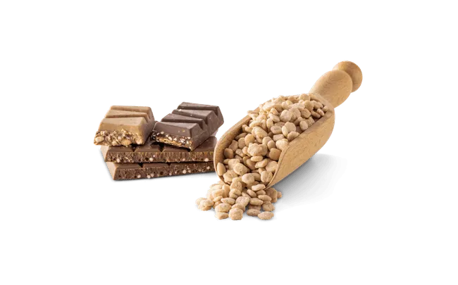 Erbacher Food Intelligence Ingredients Anwendung Schokolade Chocolate 220203 75329 2