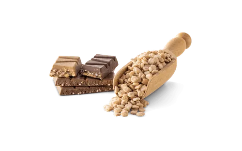 Erbacher Food Intelligence Ingredients Anwendung Schokolade Chocolate 220203 75329 2