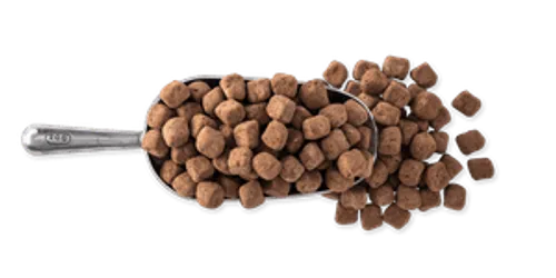 M5128 Dattel Haferflocken Snack Bite Kakao Private Label Snacks